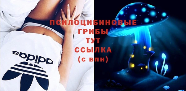 индика Семилуки