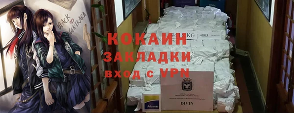 дживик Саяногорск